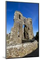 Llawhaden Castle, Pembrokeshire, Wales, United Kingdom, Europe-Billy Stock-Mounted Photographic Print