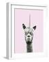 Lllama-Corn - Flourish-Bill Philip-Framed Art Print