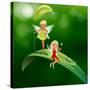 Lllustration of the Two Playful Fairies-interactimages-Stretched Canvas