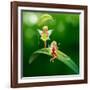 Lllustration of the Two Playful Fairies-interactimages-Framed Photographic Print