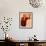 Lloyd Bridges-null-Framed Photo displayed on a wall