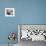 Lloyd Bridges-null-Framed Photo displayed on a wall