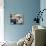 Lloyd Bridges-null-Photo displayed on a wall