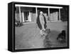 Lloyd George and His Dog-null-Framed Stretched Canvas