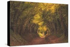 Gentle Path-Lloyd Lane-Framed Giclee Print