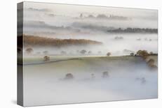 Fulking Mist-Lloyd Lane-Stretched Canvas