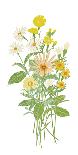 Flowers Flourish-Llubav Choy Duerr-Giclee Print