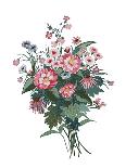 Lunaria-Llubav Choy Duerr-Giclee Print