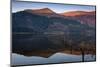 Llyn Cwellyn, the Beddgelert Forest and Y Garn at first light, Snowdonia National Park, Eryri-Alan Novelli-Mounted Photographic Print