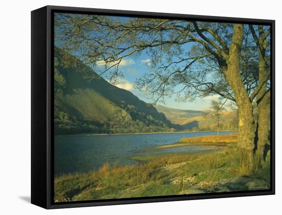 Llyn Gwynant (Lake Gwynant), Gwynedd, North Wales, UK, Europe-Lee Frost-Framed Stretched Canvas