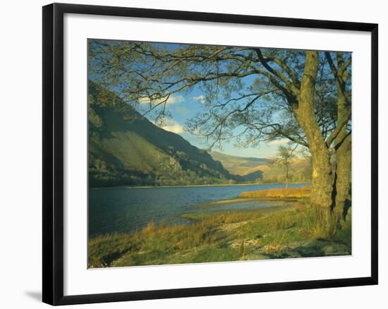 Llyn Gwynant (Lake Gwynant), Gwynedd, North Wales, UK, Europe-Lee Frost-Framed Photographic Print