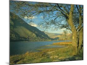 Llyn Gwynant (Lake Gwynant), Gwynedd, North Wales, UK, Europe-Lee Frost-Mounted Photographic Print