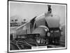 LNER Coronation-null-Mounted Photographic Print