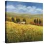 Lo Splendor De La Toscana-Tim Howe-Stretched Canvas