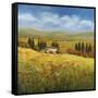 Lo Splendor De La Toscana-Tim Howe-Framed Stretched Canvas