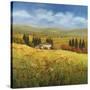 Lo Splendor De La Toscana-Tim Howe-Stretched Canvas