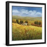 Lo Splendor De La Toscana-Tim Howe-Framed Giclee Print