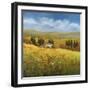 Lo Splendor De La Toscana-Tim Howe-Framed Giclee Print