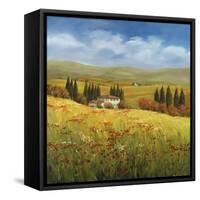Lo Splendor De La Toscana-Tim Howe-Framed Stretched Canvas