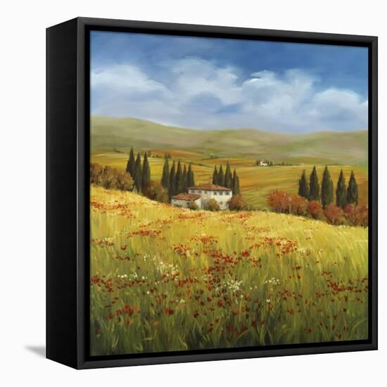 Lo Splendor De La Toscana-Tim Howe-Framed Stretched Canvas