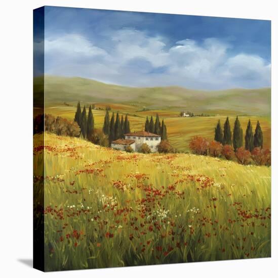 Lo Splendor De La Toscana-Tim Howe-Stretched Canvas