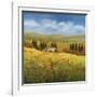 Lo Splendor De La Toscana-Tim Howe-Framed Giclee Print