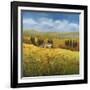 Lo Splendor De La Toscana-Tim Howe-Framed Giclee Print