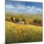 Lo Splendor De La Toscana-Tim Howe-Mounted Giclee Print