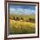 Lo Splendor De La Toscana-Tim Howe-Framed Giclee Print