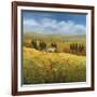 Lo Splendor De La Toscana-Tim Howe-Framed Giclee Print