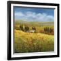 Lo Splendor De La Toscana-Tim Howe-Framed Giclee Print