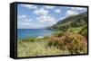 Lo Zingaro Natural Reserve-Guido Cozzi-Framed Stretched Canvas