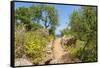 Lo Zingaro Natural Reserve-Guido Cozzi-Framed Stretched Canvas