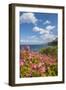 Lo Zingaro Natural Reserve-Guido Cozzi-Framed Photographic Print