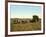 Load of Sugar Cane on a Cuban Plantation, 1904-null-Framed Giclee Print