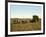 Load of Sugar Cane on a Cuban Plantation, 1904-null-Framed Giclee Print