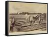 Loading a vat with plant, 1877-Oscar Jean Baptiste Mallitte-Framed Stretched Canvas