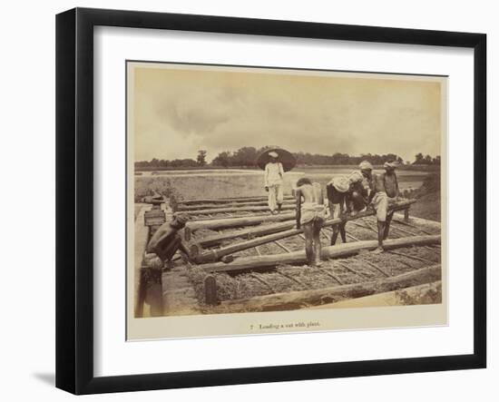 Loading a vat with plant, 1877-Oscar Jean Baptiste Mallitte-Framed Giclee Print