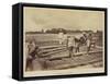 Loading a vat with plant, 1877-Oscar Jean Baptiste Mallitte-Framed Stretched Canvas