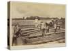 Loading a vat with plant, 1877-Oscar Jean Baptiste Mallitte-Stretched Canvas