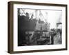 Loading Apple Cargo at Dock, Seattle, 1921-Asahel Curtis-Framed Giclee Print