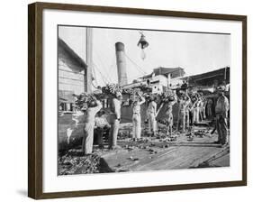 Loading Bananas, Port Antonio, Jamaica, C1905-Adolphe & Son Duperly-Framed Giclee Print