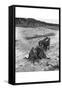 Loading Boulder on Stone Boat-Dorothea Lange-Framed Stretched Canvas