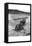 Loading Boulder on Stone Boat-Dorothea Lange-Framed Stretched Canvas