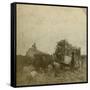 Loading Cane, Sugar Plantation, Louisiana, Usa-Underwood & Underwood-Framed Stretched Canvas