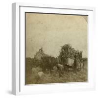 Loading Cane, Sugar Plantation, Louisiana, Usa-Underwood & Underwood-Framed Photographic Print