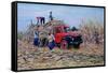 Loading Canes-Victor Collector-Framed Stretched Canvas