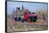 Loading Canes-Victor Collector-Framed Stretched Canvas