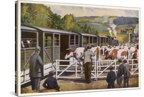 Loading Cattle onto a Train at a Country Station-null-Stretched Canvas