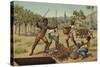 Loading Cocoa Pods into Sacks, Africa-null-Stretched Canvas